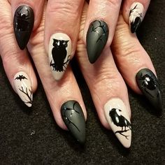 Black and white spooky Halloween Nail Design with birds, bats, and spiders Nail Bat, Halloween Nail Art Easy, Bat Nails, Witch Nails, Skull Nails, Halloween Nails Easy, Cute Halloween Nails, Pumpkin Nails