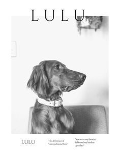 a black and white photo of a dog on the cover of luluu magazine