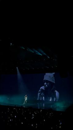 a person standing on top of a stage in front of a crowd at a concert