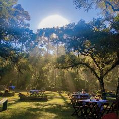 the sun shines brightly through the trees over tables and chairs in an outdoor setting