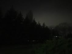 the night sky is dark and foggy, with trees in the foreground