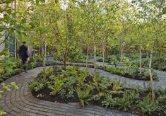 a man walking down a brick path through a garden