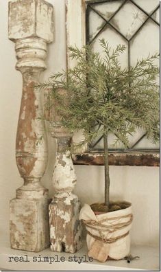 a potted plant sitting on top of a white shelf