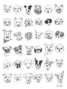 a bunch of dogs that are drawn in black and white