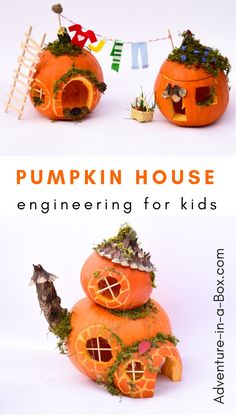 Fall Diorama Ideas, Pumpkin Farming, Waldorf Halloween, Fairy Garden Pumpkin, Fairy Pumpkin, Pumpkin Fairy House, Pumpkin Fairy, Pumpkin Contest