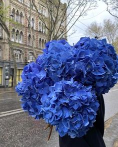 a person is walking down the street carrying blue flowers