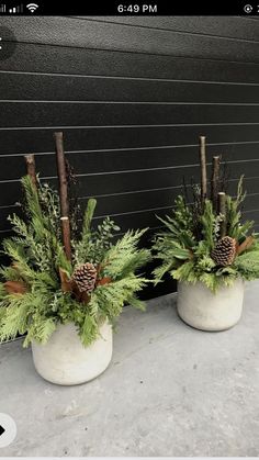 two white pots with plants and pine cones