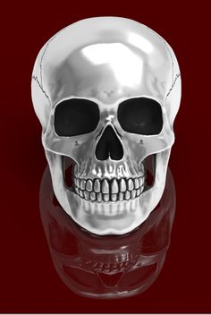 a silver skull with black eyes on a red background