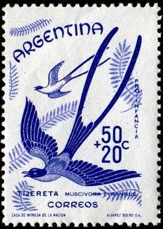 an argentina postage stamp with a bird flying over it