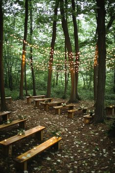 A serene outdoor setting in a forest with simple wooden benches arranged in rows, surrounded by tall trees. Delicate string lights hang above, creating a cozy atmosphere. The ground is covered with scattered flower petals. Fairy Forest Wedding, Forest Wedding Ideas, Tulle Table Runner, Pine Tree Wedding, Campground Wedding, Tulle Table, Dappled Sunlight, Wooden Benches, Wedding Alters