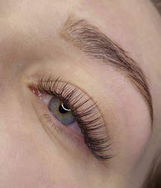 Lashes 1:1, Lashes Classic, Eyelashes And Eyebrows, Botox Cosmetic