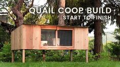 an outdoor coop built into the side of a tree