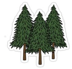 three pine trees sticker on a white background