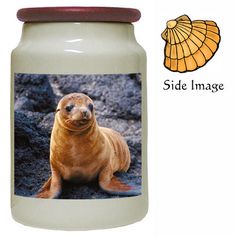 an image of a sea lion on a jar