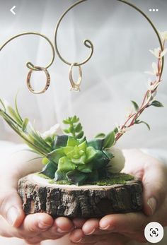 a person holding a piece of wood with plants growing out of it and two rings on the top