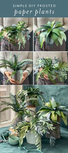 how to make a simple diy frosted paper plant