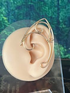 a fake ear is on display in a glass case with an acrylic background