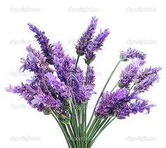 a bunch of purple flowers in a vase