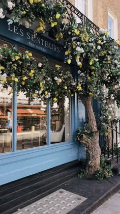 a tree with yellow flowers is in front of a storefront that says les sentiers