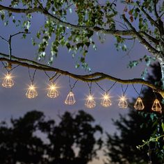 string lights hanging from a tree at night