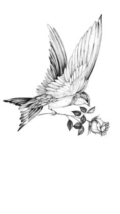 a black and white drawing of a bird on a branch with flowers in its beak