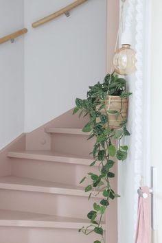 a plant hanging from the side of a stair case