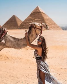 a woman is standing in front of the pyramids with a camel on her head