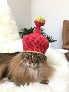 a cat wearing a knitted hat on top of it's head sitting on a white rug