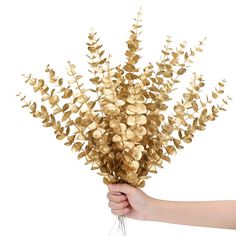 PRICES MAY VARY. You'll be provided: 20 pieces of fall eucalyptus stems in gold, enough to meet your daily use and replacement needs; You can also share them with family and friends; For storage and transportation, we bend the fall farmhouse decors slightly and you need to straighten them yourself when unpacking Reliable quality: these fall stems are made of quality plastic material and iron wires, reliable and sturdy, not easy to break or fade, look like real fall floral, which can serve you for a long time Moderate size: each fall faux flower is about 17 x 2 inches/ 43 x 5 cm, which is about the size of a real small plant, and because they're the right size, fall stems for vases can be widely applied in your daily life, ideal for making trinkets Suitable for making crafts: these fall wed Gold Flower Arrangements, Fake Leaf Decor, Cocktail Stand, Greece Theme, Gold Eucalyptus, Wedding Party Bouquets, Eucalyptus Stems, Farmhouse Vase, Boda Diy