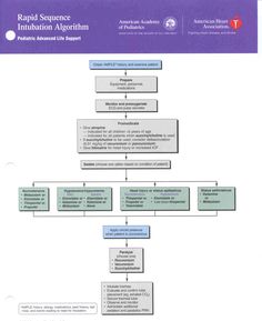 the flow diagram for rapid sequence of information