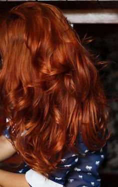 Dicas de Garota: Sobre o meu ruivo Auburn Hair With Highlights, Cheveux Oranges, Beautiful Red Hair, Copper Hair