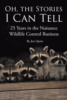 three raccoons sitting on top of a wooden box with the title, oh, the stories i can't tell 25 years in the nuisancee wildlife control business