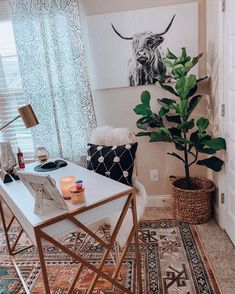 a living room with a rug, table and plant in the corner on the floor