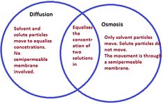 two vennuous circles with the words diffusiontion and solstics