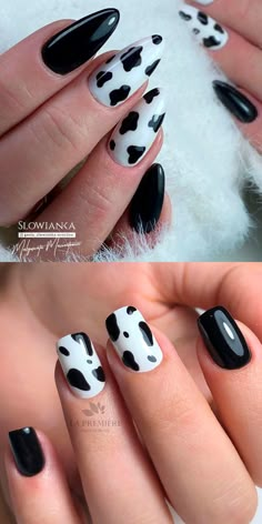 Black Nails With Cow Print, Short Square Black Nails, Nails With Cow Print, Square Black Nails, Cow Print Nail Art, Acrylics Ideas, Square Oval Nails, Print Nail Art, Western Nails