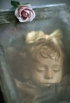 a young child is sleeping in a glass box with a rose on the window sill