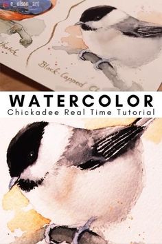 watercolor chickade real time art project for kids to learn how to paint birds