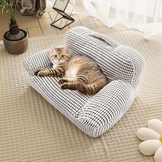 a cat laying on top of a couch in a living room next to a potted plant