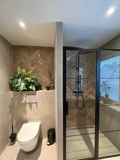 a bathroom with a shower, toilet and plant in the corner on the counter top