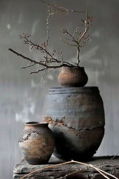 two vases with branches in them sitting on a piece of driftwood next to each other