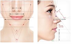 Face Symmetry, Nose Plastic Surgery, Facial Symmetry, Rhinoplasty Nose Jobs, Facial Proportions, Face Proportions, Facial Anatomy, Human Body Drawing, Beauty Procedures