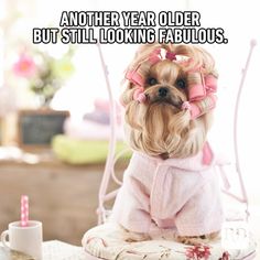 a small dog wearing a pink outfit sitting on top of a table next to a cup