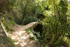 a stone bridge in the middle of a forest with trees on both sides and dirt path leading to it