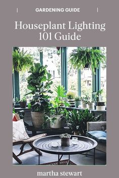 the gardening guide for houseplant lighting 101 guide