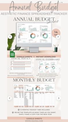 an info sheet for the annual budget tracker, with information about how to use it