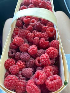 raspberries in a boat being held by someone