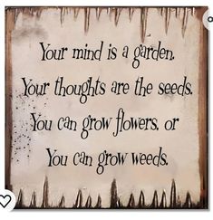 Catchy Quotes, Your Mind Is A Garden, Mind Is A Garden, Mindful Thoughts, Painting Signs, Music And The Brain, Wise Advice, Label Ideas, Quotes About Everything