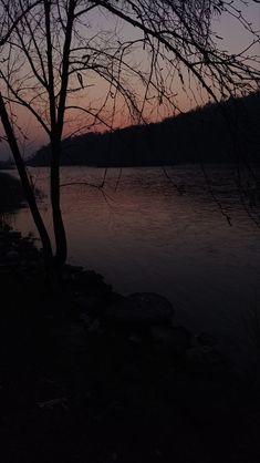 the sun is setting behind some trees by the water