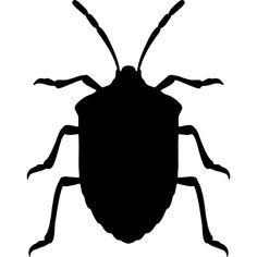 a black and white image of a bug