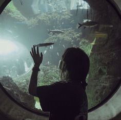 a person standing in front of an aquarium looking at fish